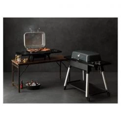 Everdure FORCE Zwei Brenner Grill Stone - Gasgrill 7 Everdure FORCE Zwei Brenner Grill Stone - Gasgrill -Angebote Grill Store 10699754 3 d 1