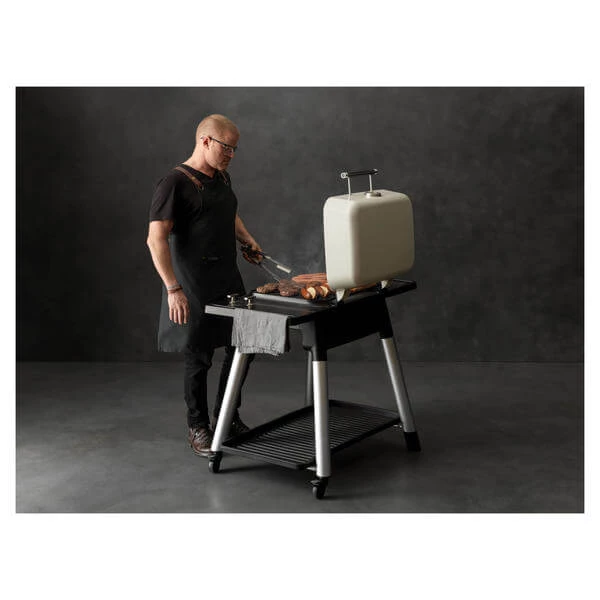 Everdure FORCE Zwei Brenner Grill Graphite - Gasgrill 4 Everdure FORCE Zwei Brenner Grill Graphite - Gasgrill – Bild 2