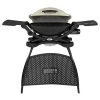 Weber Q 2000 Stand Titanium - Gasgrill 1 Weber Q 2000 Stand Titanium - Gasgrill -Angebote Grill Store 10727346 1 d 1
